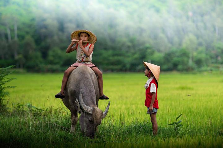 Gỗ và Video: Kết nối nghệ thuật truyền thống với công nghệ hiện đại