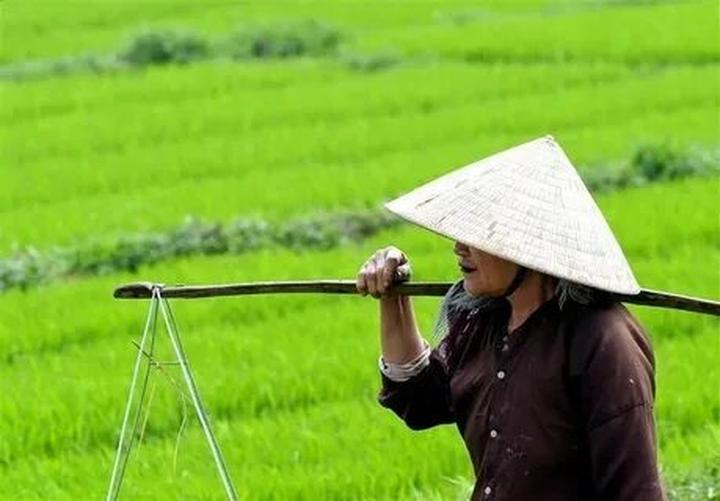Tối ưu nội dung Xiaohongshu cùng Hotspot Matrix